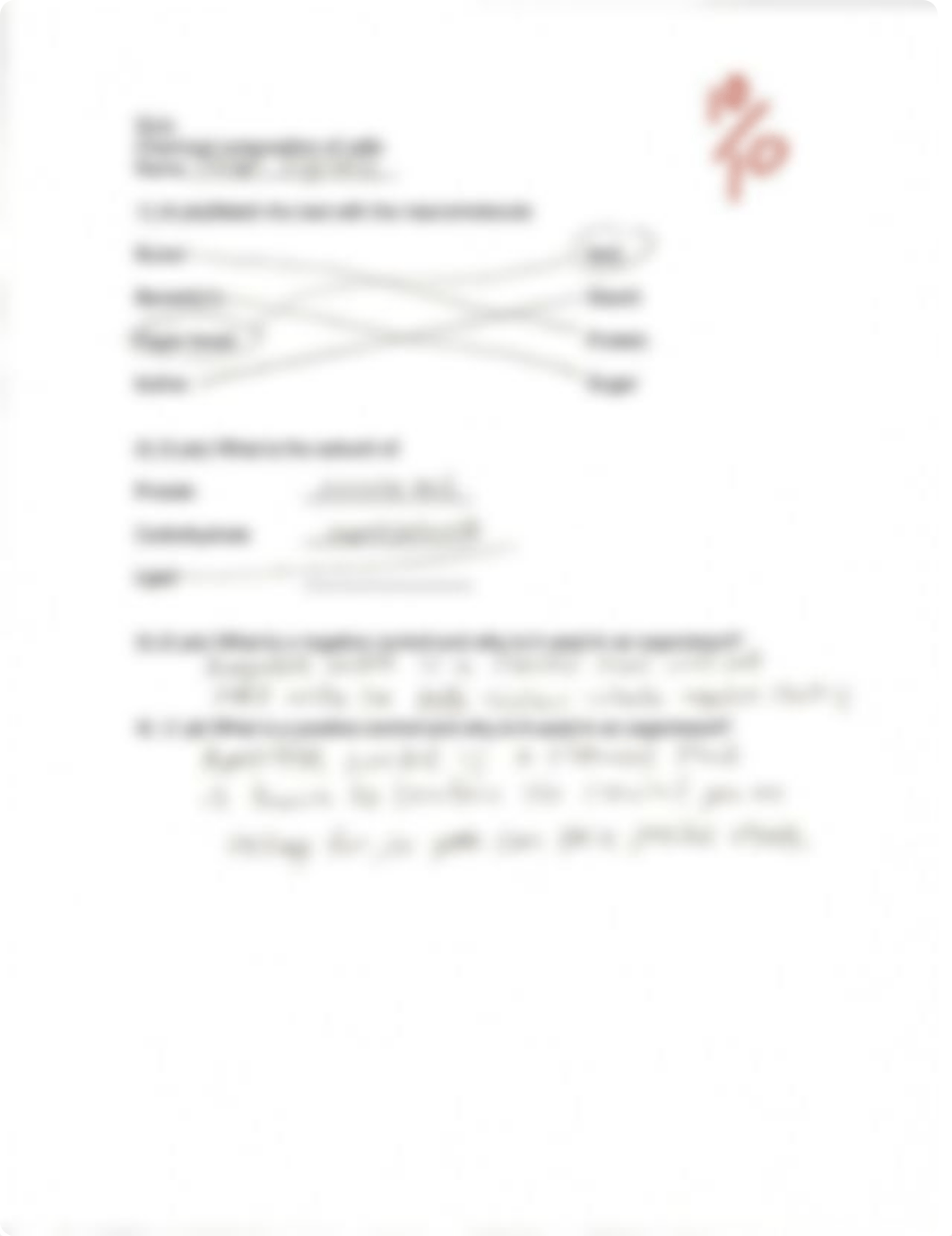 Chemical Compounds of Cells Quiz_dhmxzgxh4w5_page1