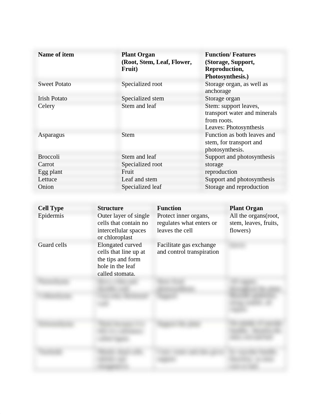 bilolab 6 plant anotomy_dhmzhlmdn5u_page3