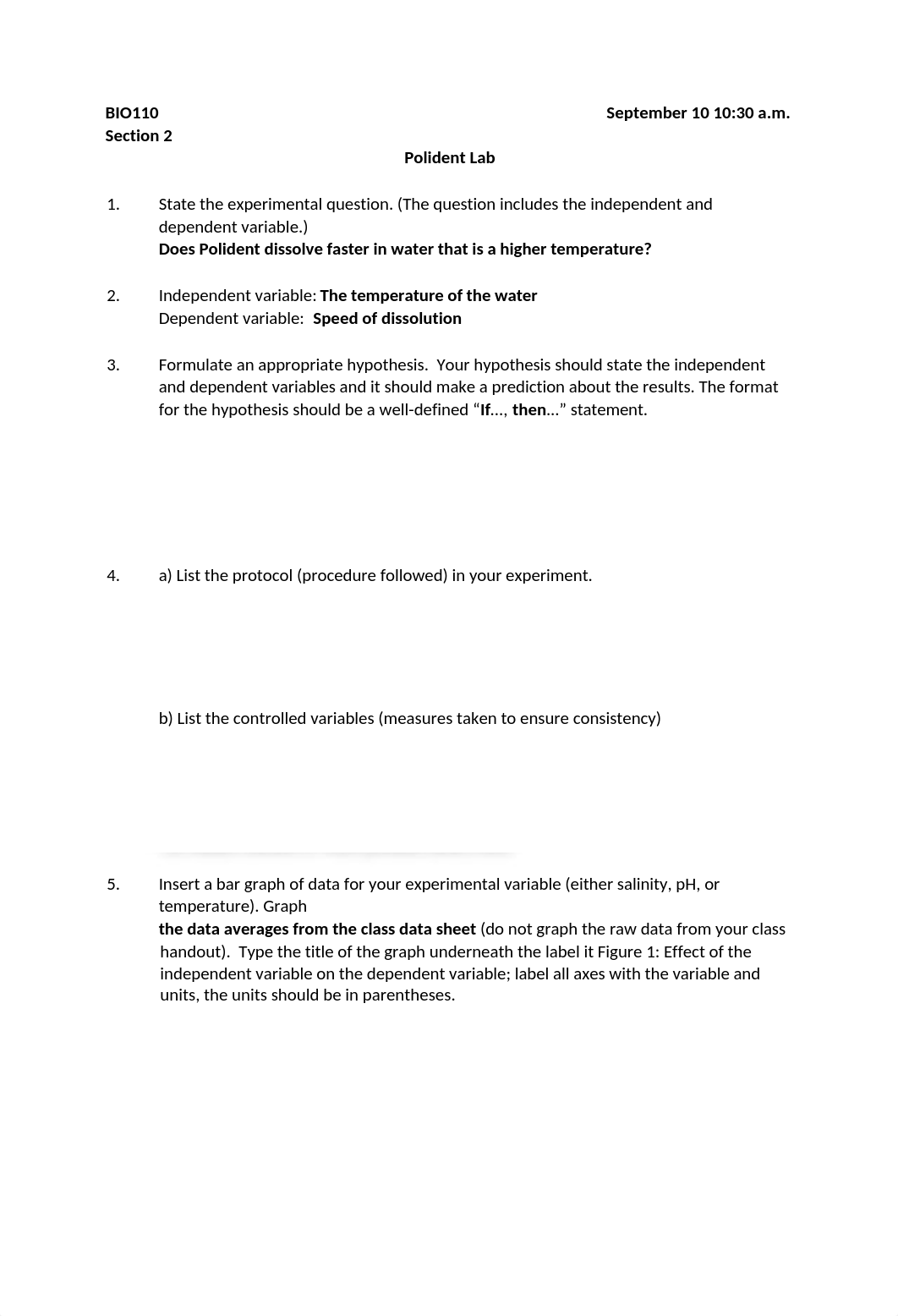 Polident Lab.docx_dhn0ljsfpcl_page1