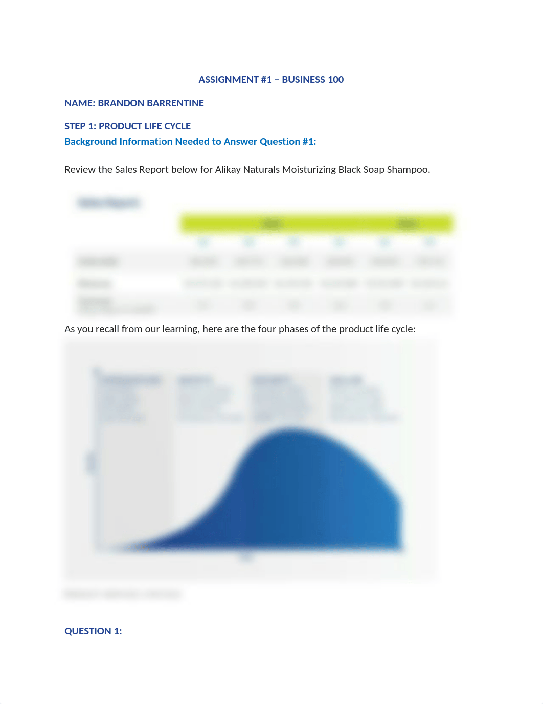 Assignment 1 BUS 100 BRANDON BARRENTINE 17 JAN 18.docx_dhn6zc1cjy9_page1