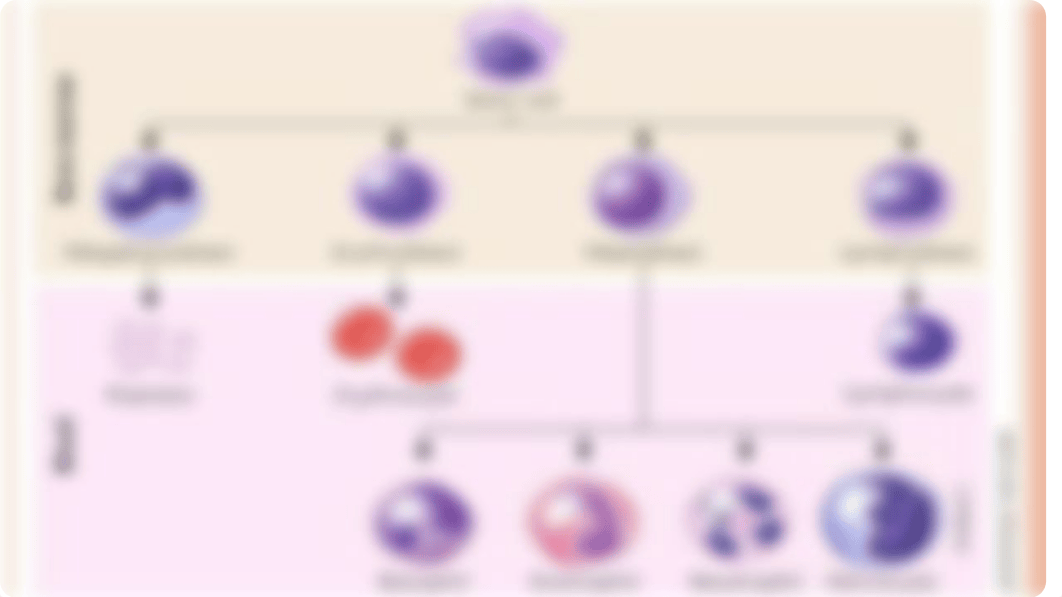 Anemia (3).pptx_dhnb0q3pl5l_page3