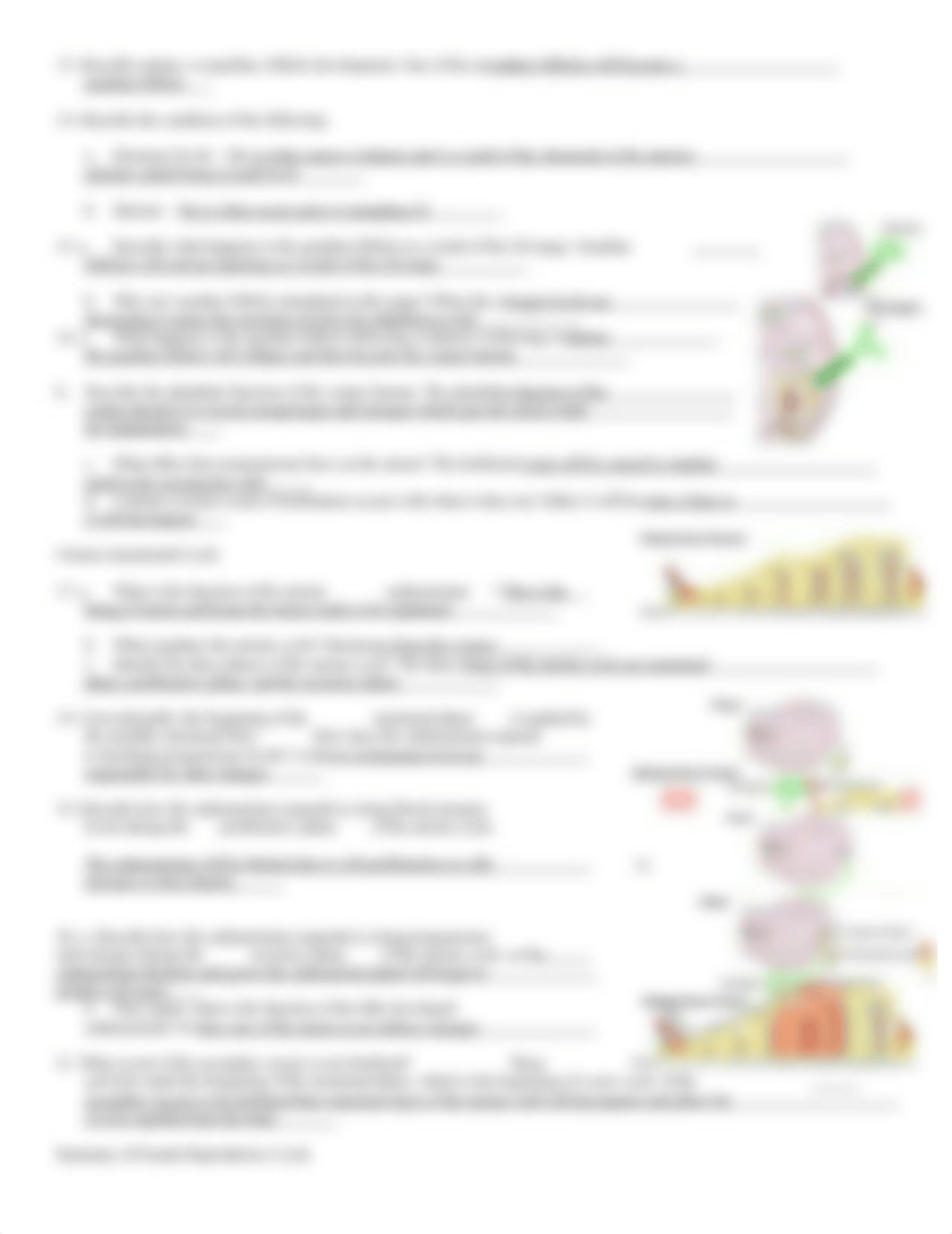 Hormonal Regulation of Female Reproductive System.docx_dhnkcd4ebzj_page2