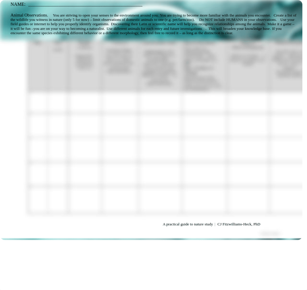 Animal Observation Sheet.docx_dhnlvdghmxl_page1