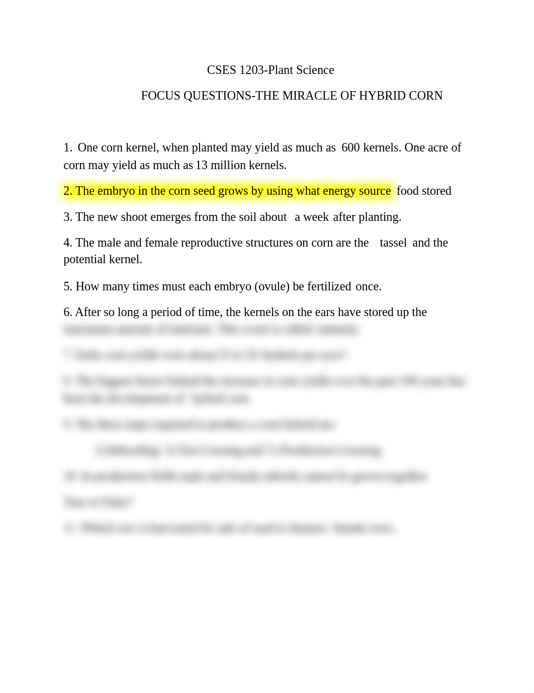 MIRACLE OF HYBRID CORNFOCUS QUESTIONS.doc_dhnolt6fbjr_page1