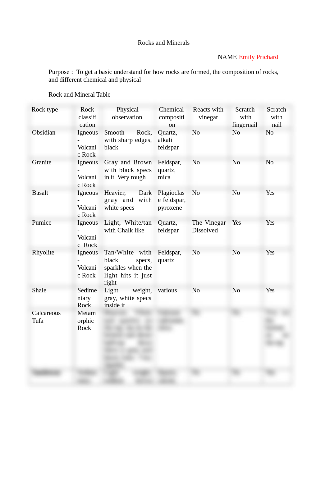 Lab 13 Rocks_and_Minerals_lab_template-1.docx_dhnp7eqq7t6_page1