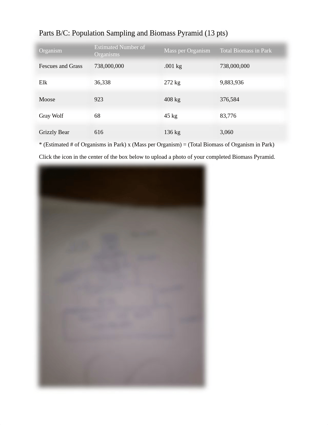 12+-+Ecosystems+and+Human+Impact+Worksheet.docx_dhnqctuah4u_page2