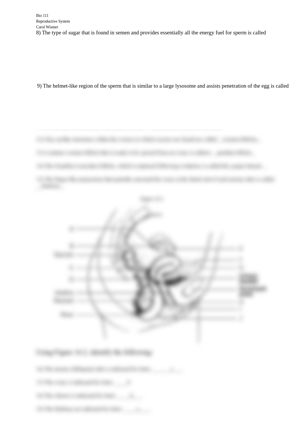 Ch 16 Reproductive_wks.doc_dhnw5apfdiv_page2