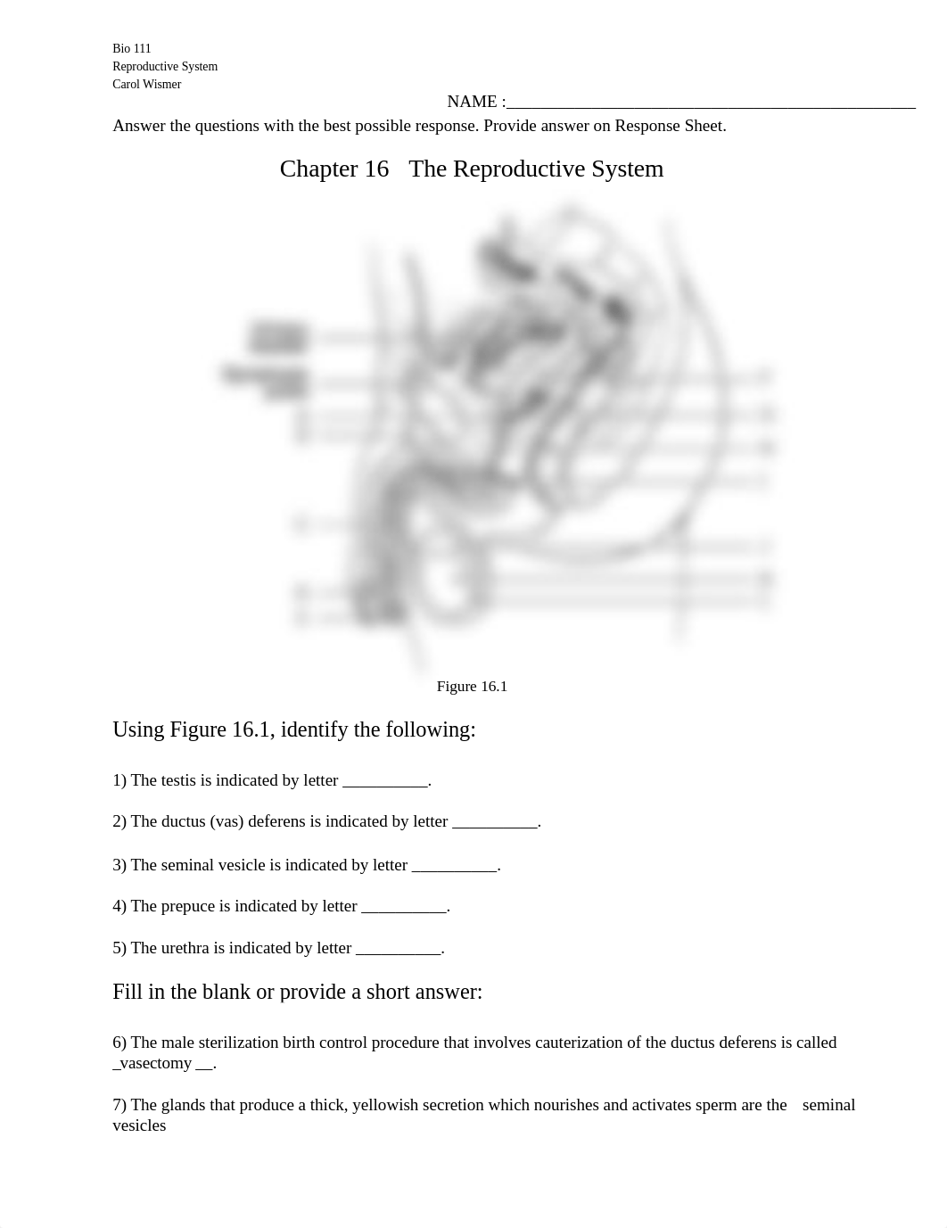 Ch 16 Reproductive_wks.doc_dhnw5apfdiv_page1