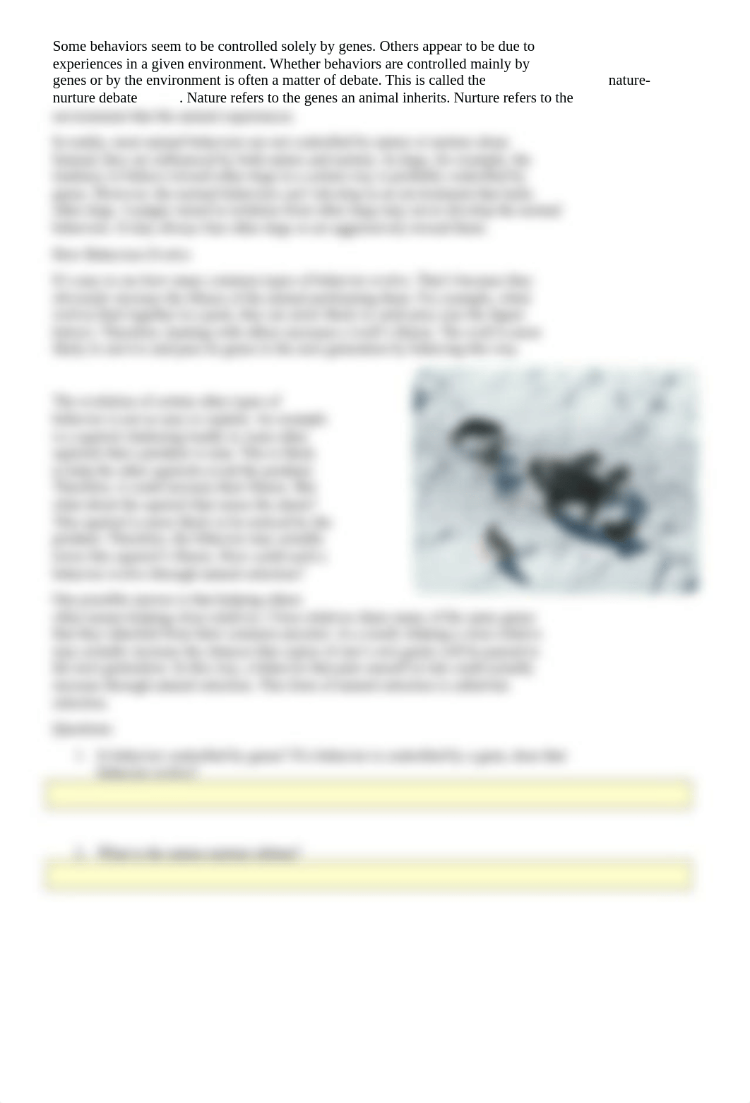 animal_behavior_worksheet.docx_dho1edn8k0j_page2