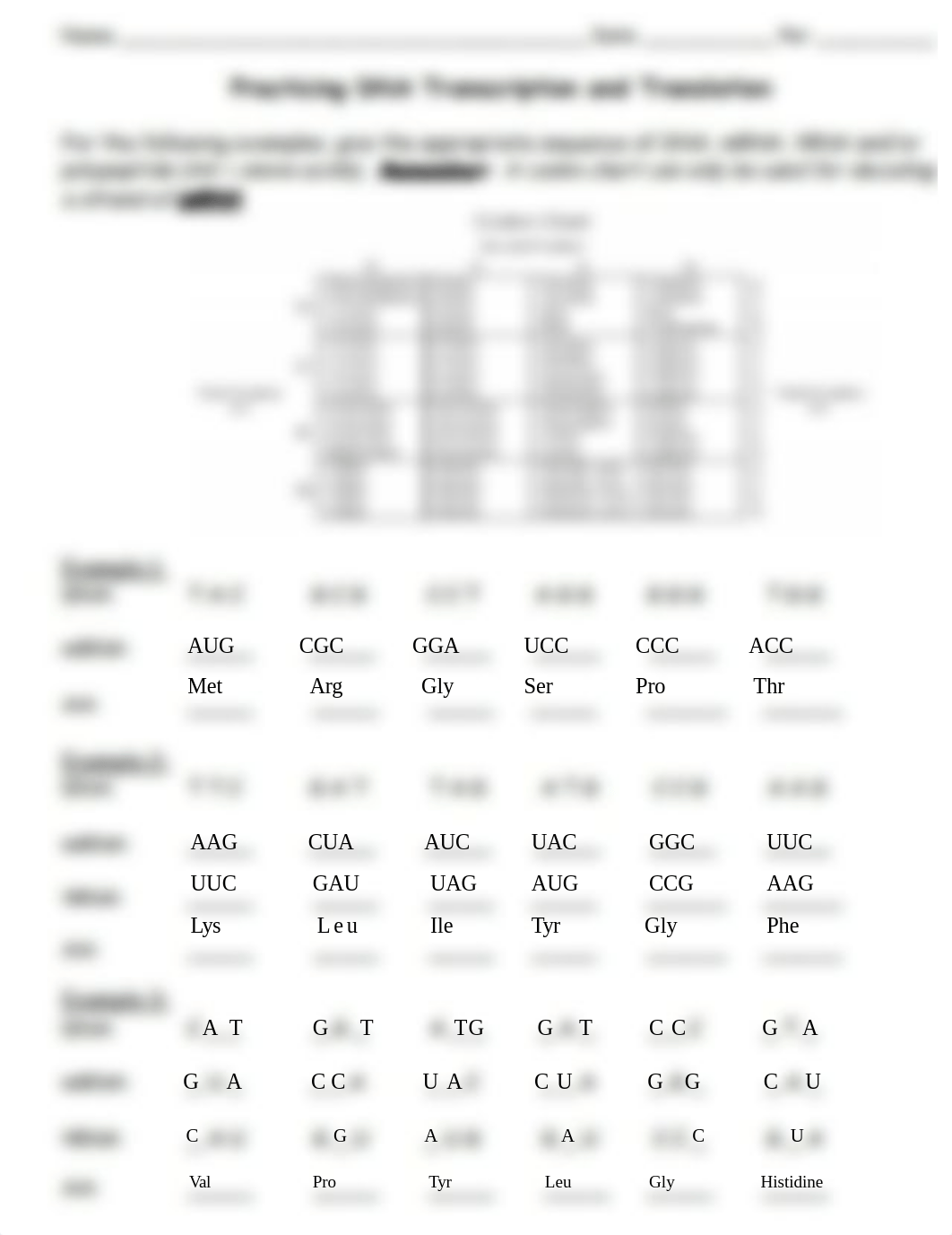 Practice DNA transcription and translation.docx_dho2bau76aj_page1