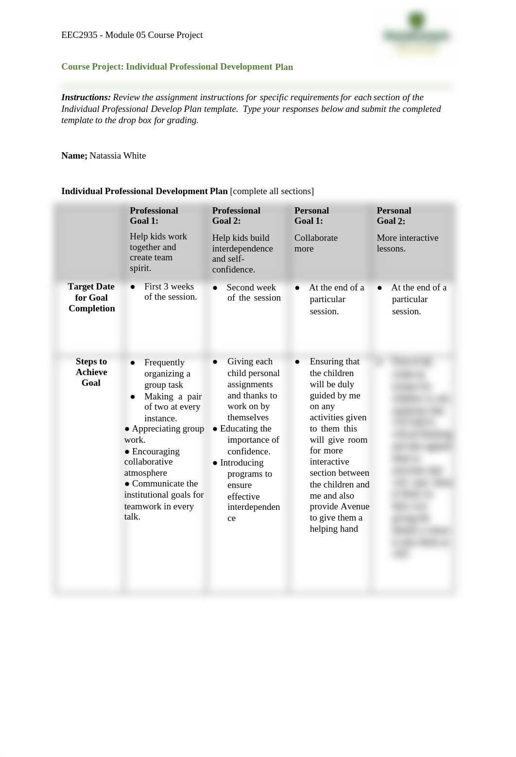 Individual Professional Development Plan Template 3.doc_dho7oxlvfzg_page1