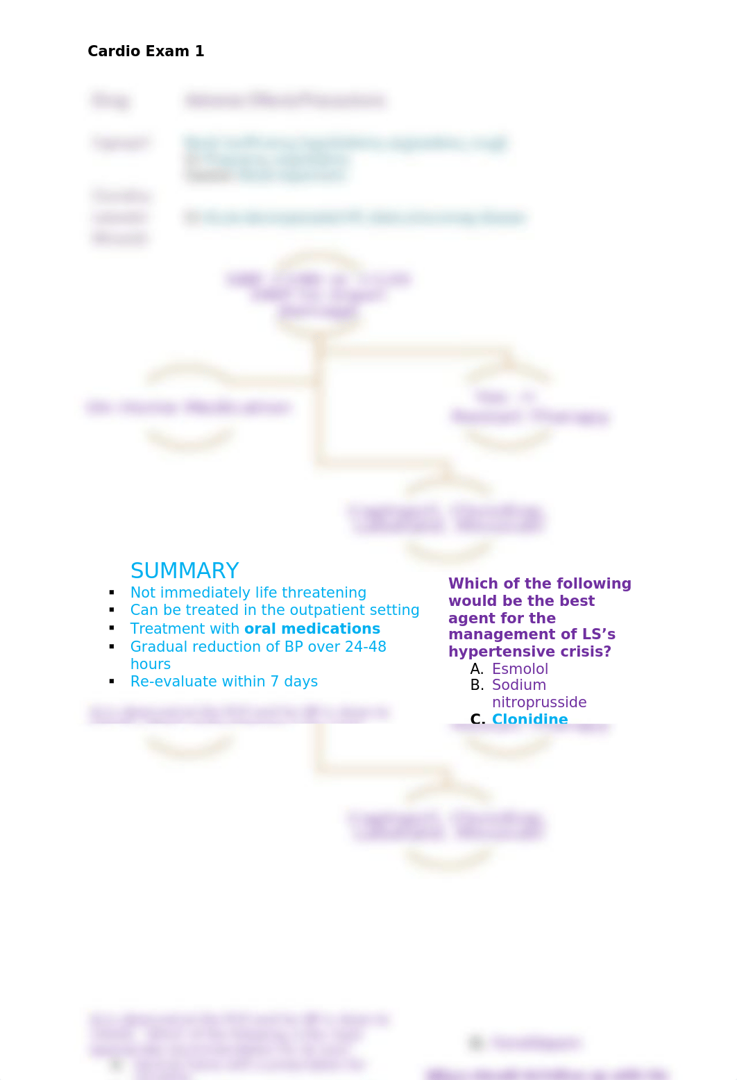 Hypertensive Crisis.docx_dhoi7lvx9f1_page3