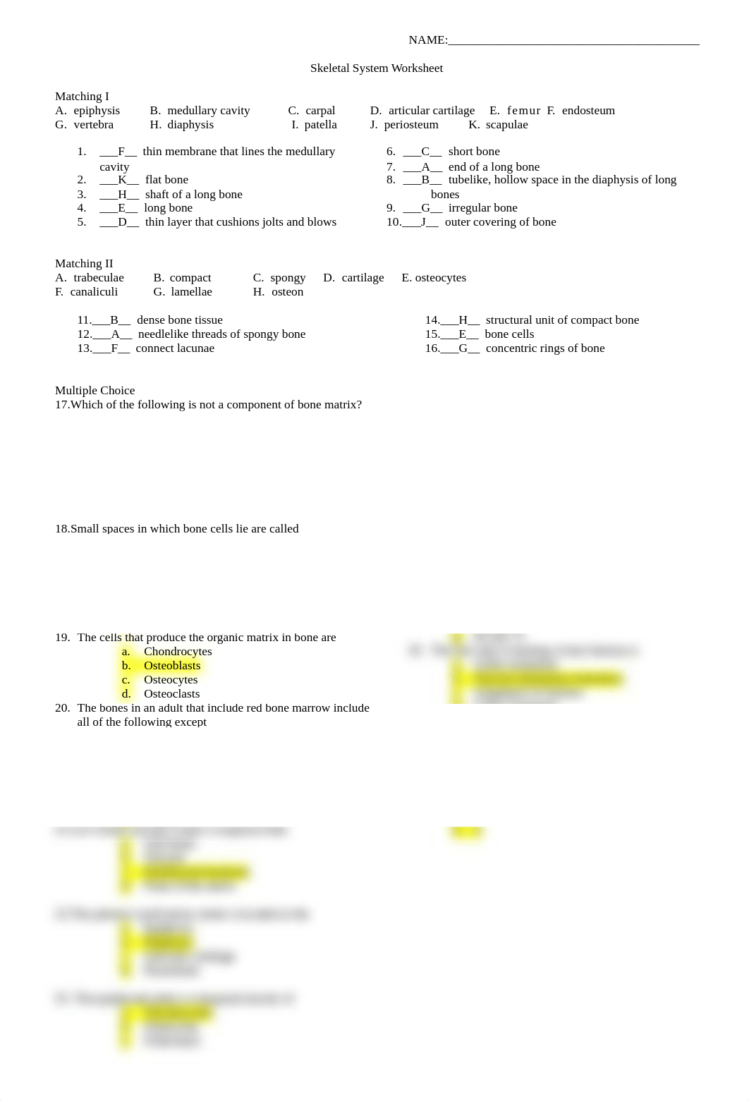 Ch 05_skeletal_system_worksheet.doc_dhoik6z9hob_page1