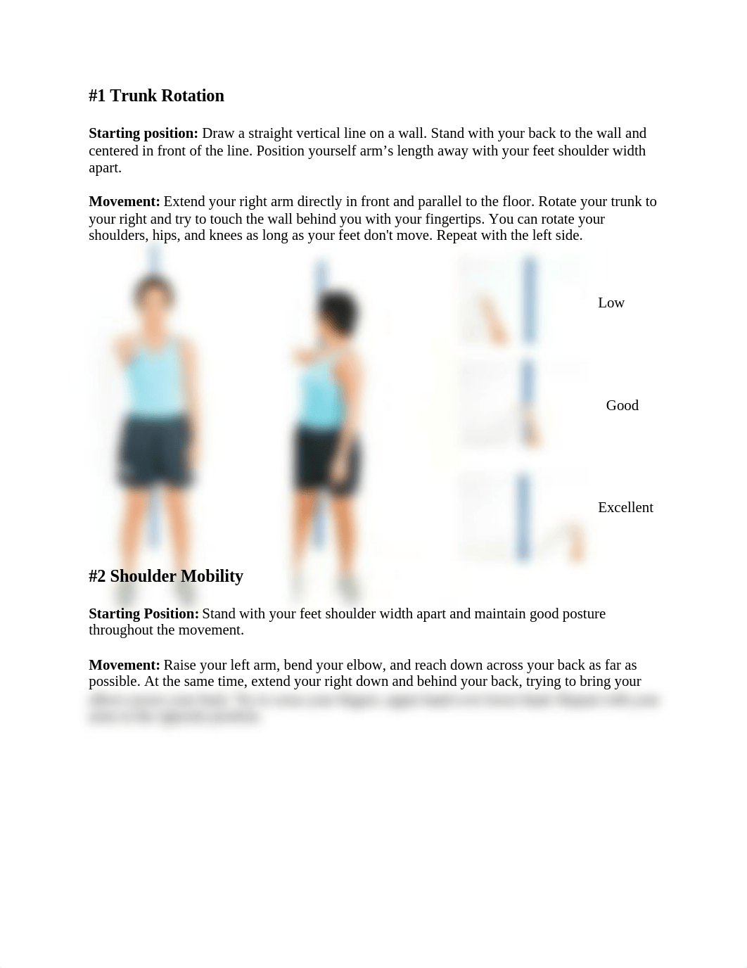 Flexibility test Lab_dhokpcxtw8m_page3