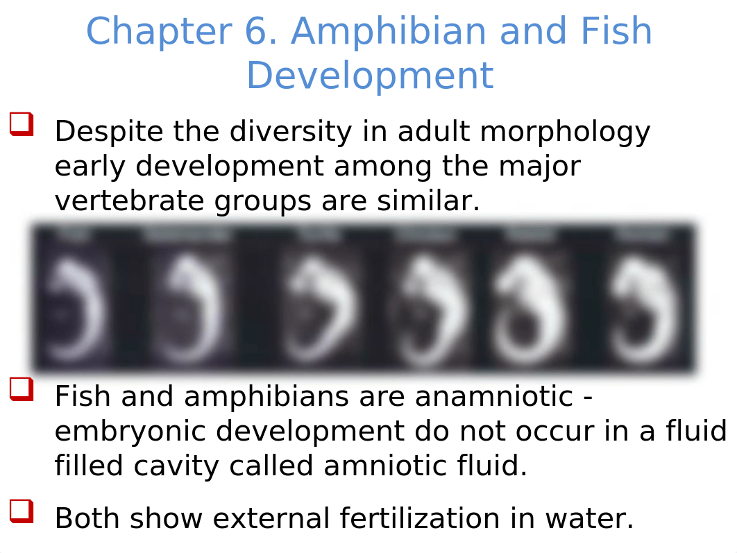 BSC 492 Developmental Biology Chapter 6 (1).pptx_dhoqbnv3199_page2