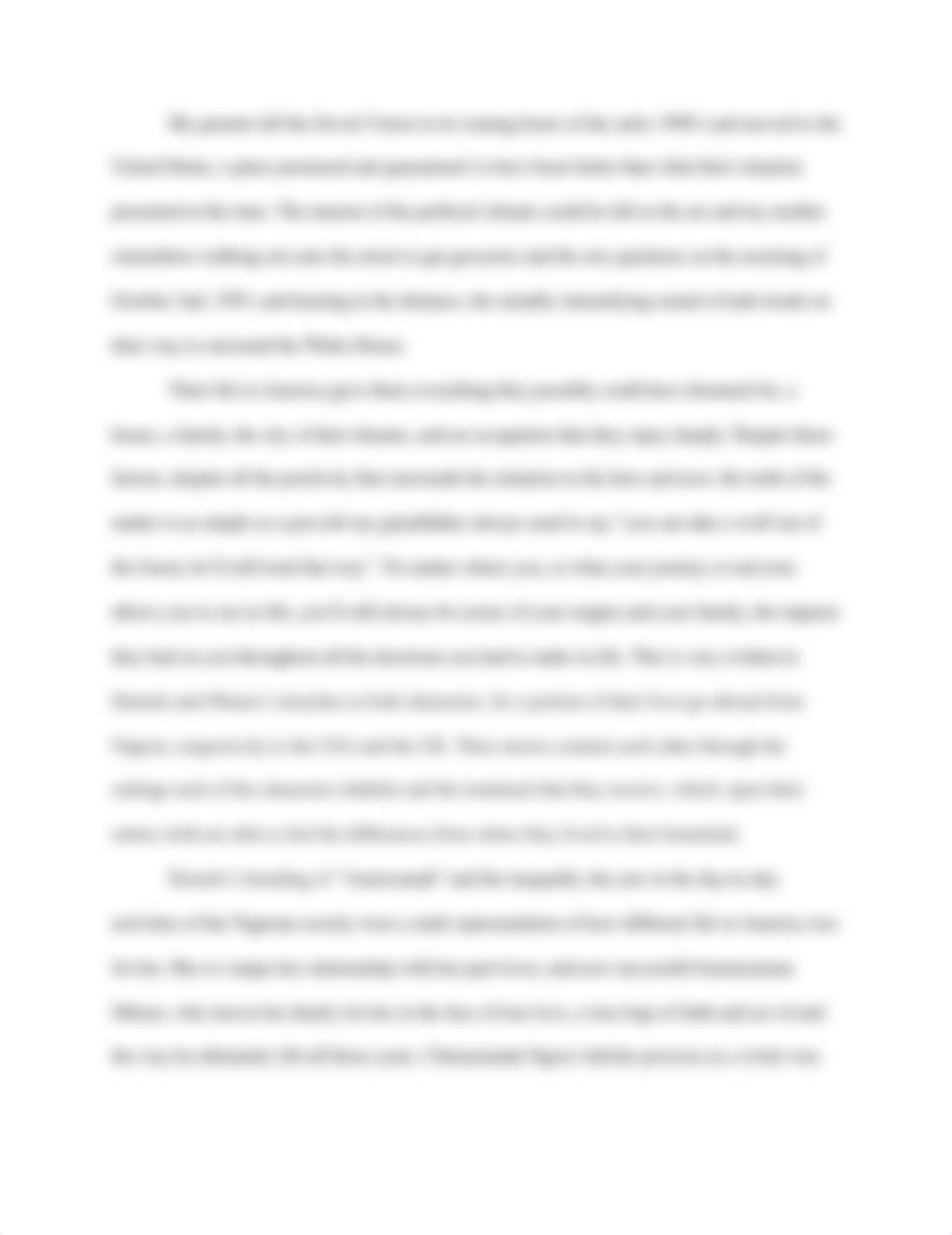 YAM Americanah essay.pdf_dhoqg9l1hok_page2