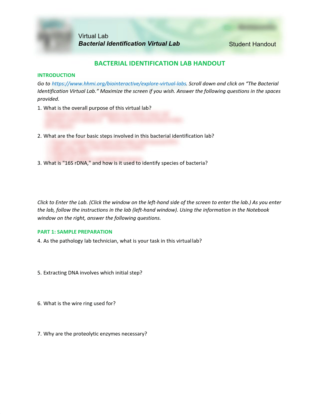 Bacterial-Identification-Lab-Worksheet-Student.pdf_dhordy2sf8v_page1