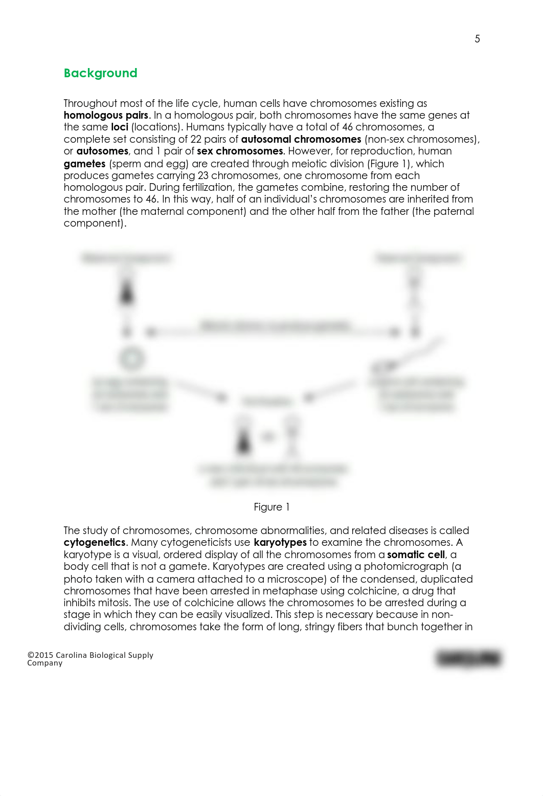 Lab8LabManual.pdf_dhos4jkrlxa_page5