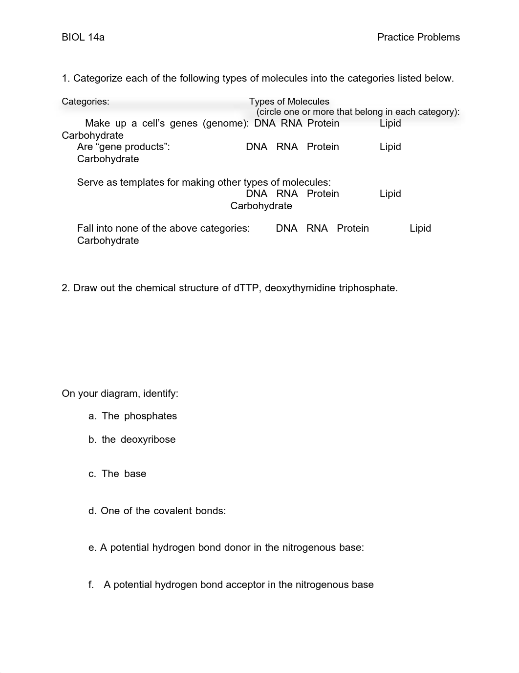 Practice Problems 1 Molecules and Gene Expression.pdf_dhoxvdzqdss_page1