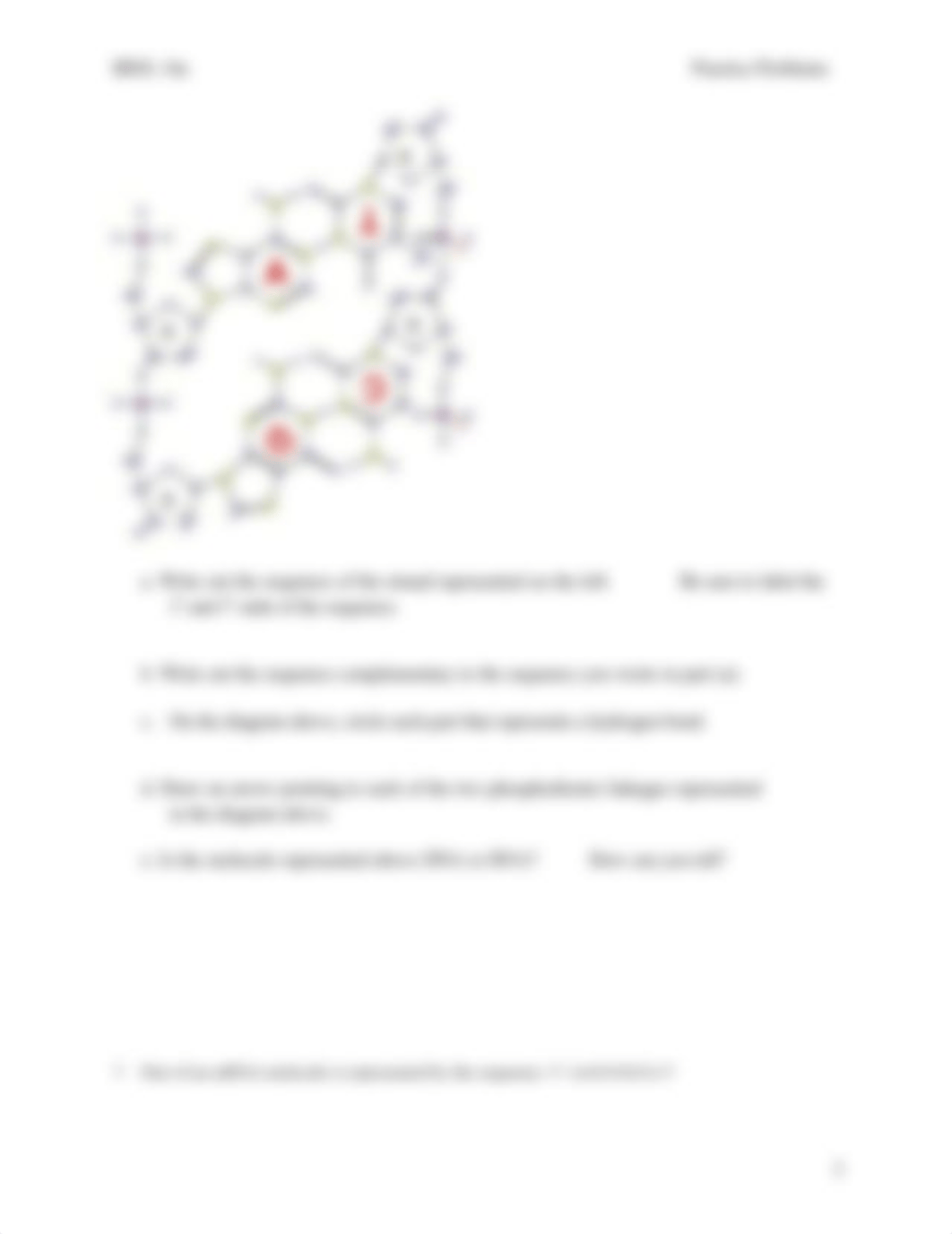 Practice Problems 1 Molecules and Gene Expression.pdf_dhoxvdzqdss_page3