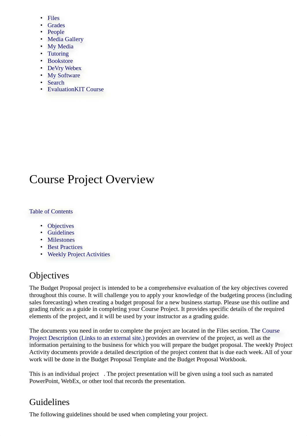 Course Project Overview_ Budgeting and Forecasting - 11932.html_dhp7x8m5205_page2