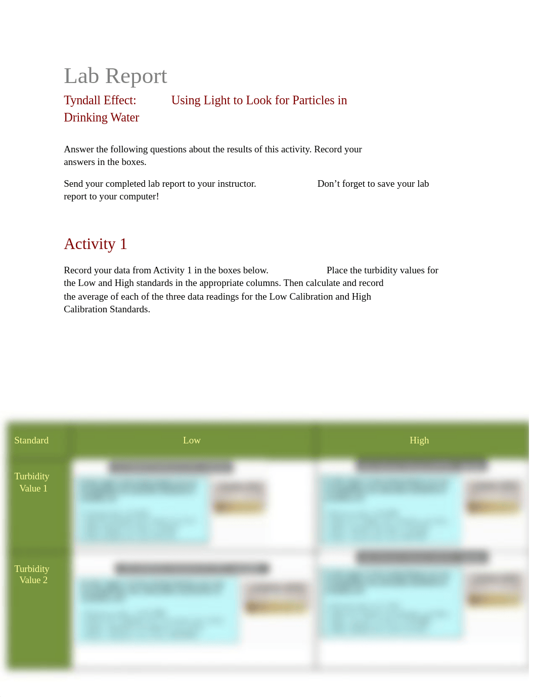 lab_report_tyndall.doc_dhp8kvb65kr_page1