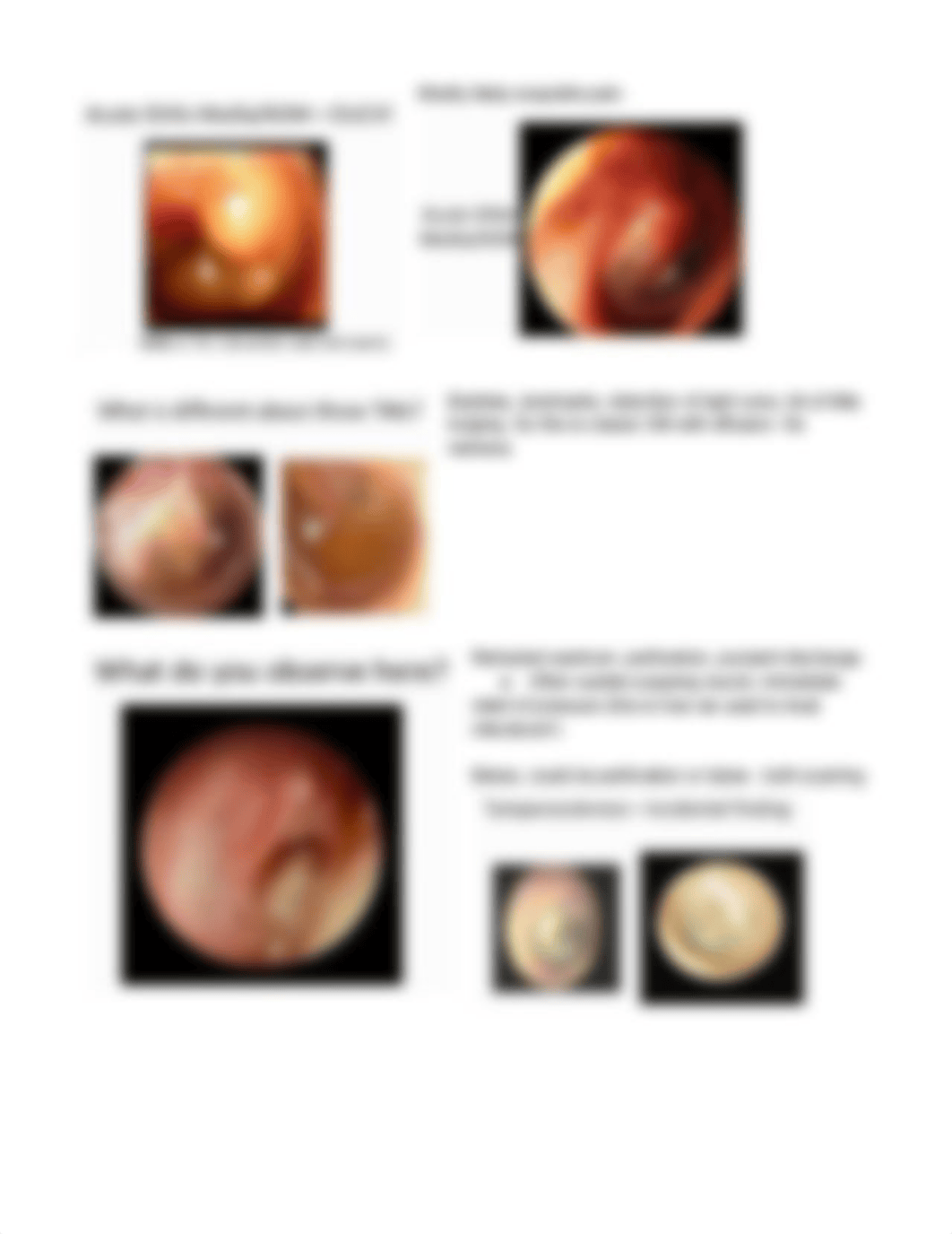 Module 2 Ear Pain & Sinus.pdf_dhp9dpqs0h9_page5