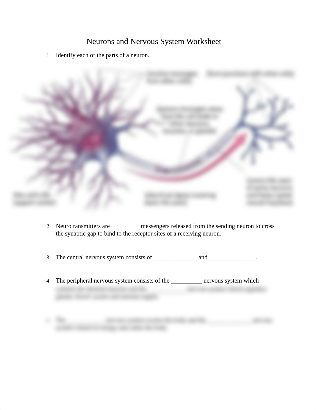 2Neurons_and_Nervous_System_Worksheet_dhpbvvdq5n5_page1