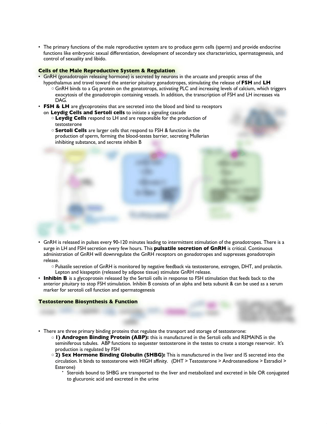 Male Reproductive Physiology.pdf_dhpgcxz7d7v_page1