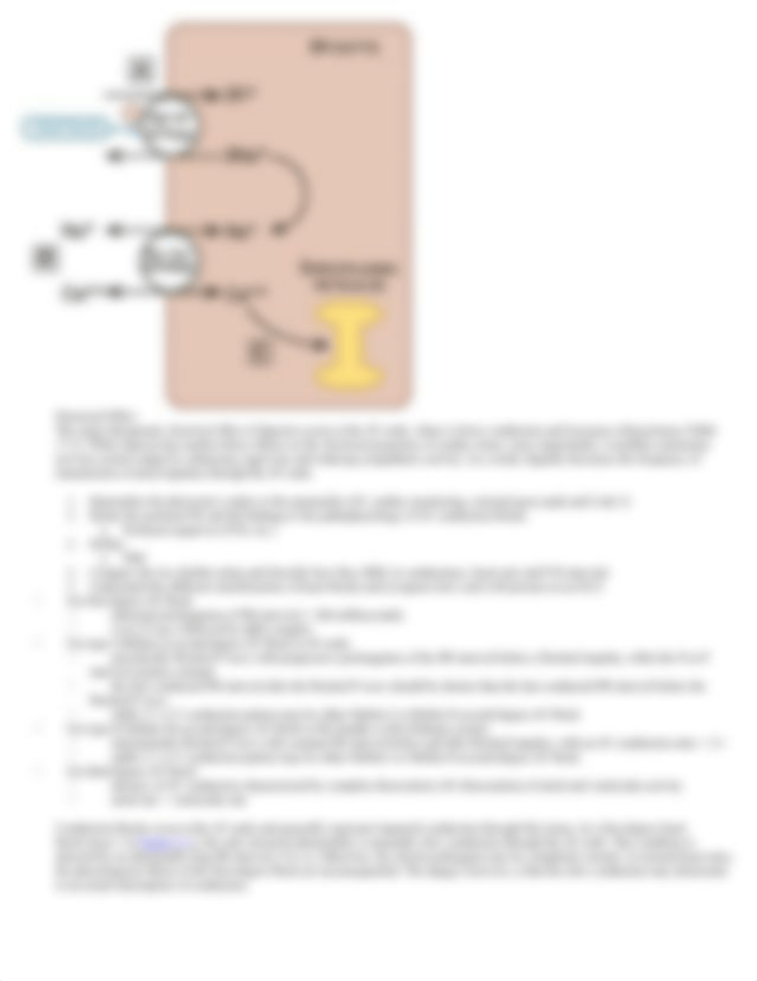 av conduction blocks sigs unit 6 .docx_dhpifqq5ab5_page3