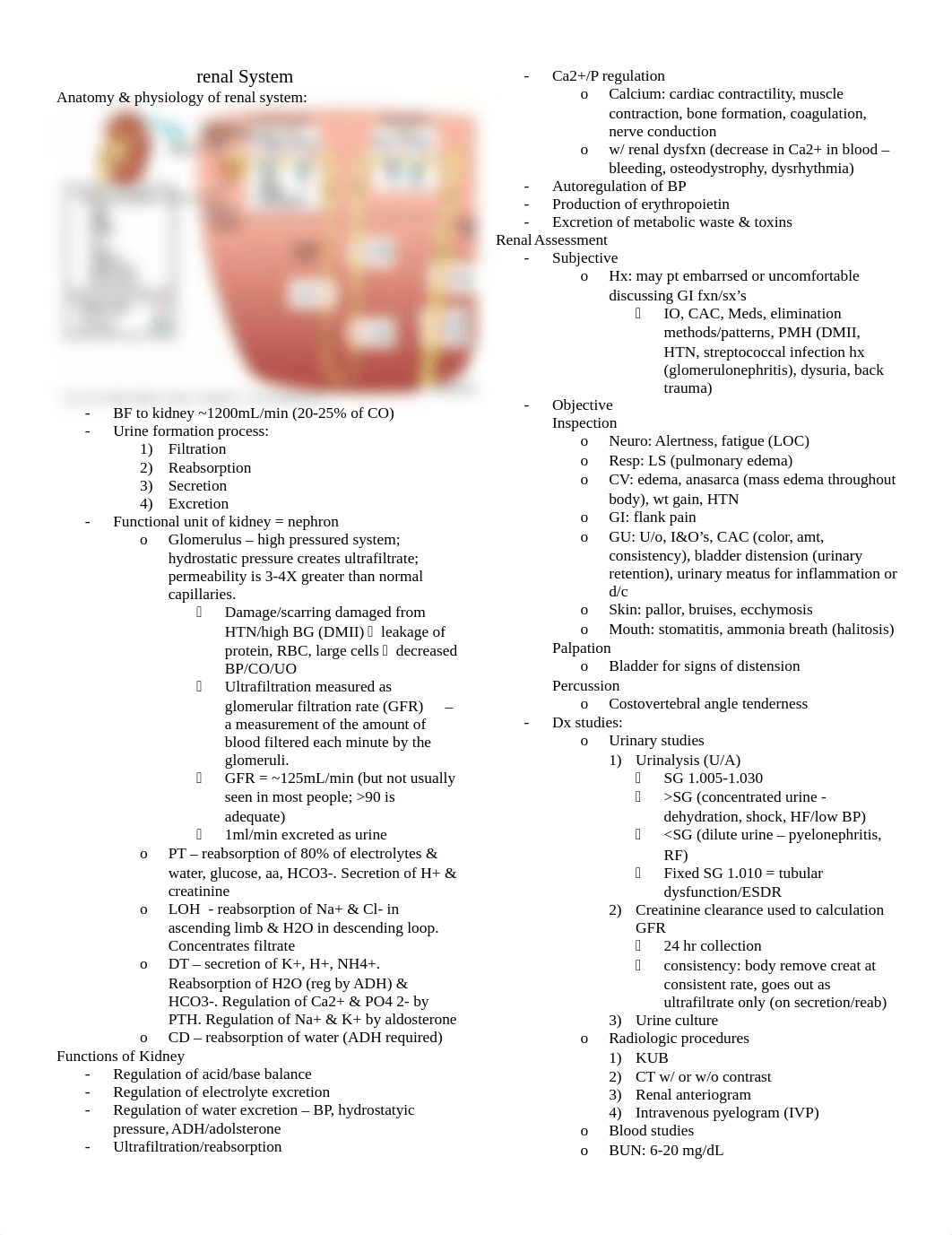 renal system study guide_dhpkkbu4zki_page1