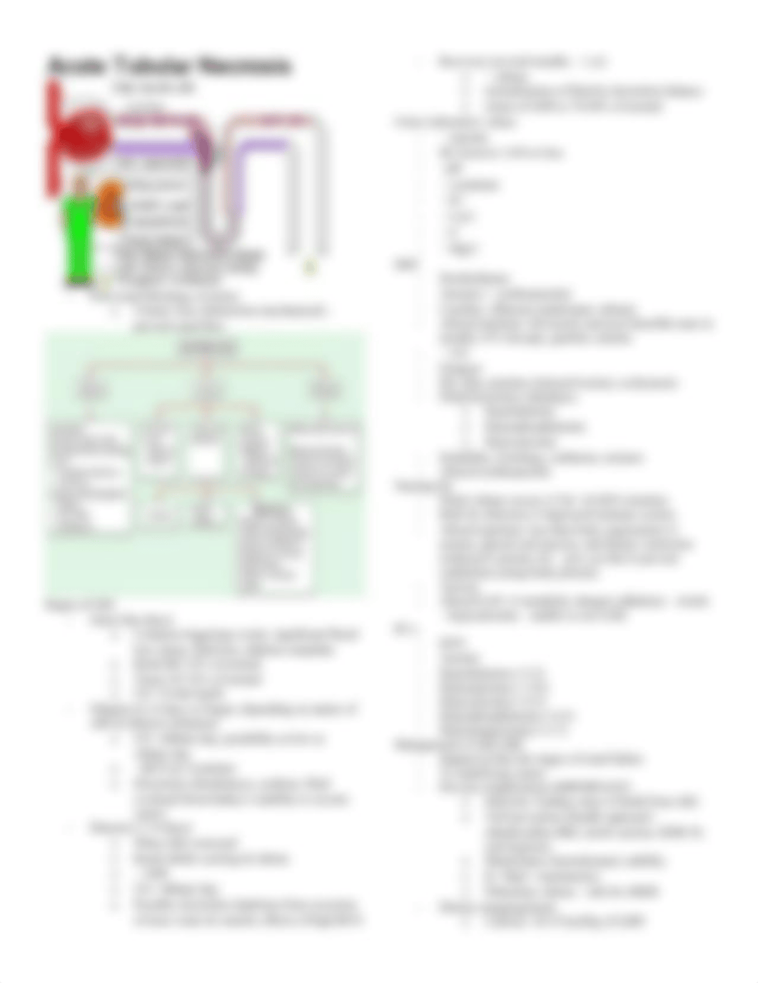 renal system study guide_dhpkkbu4zki_page3