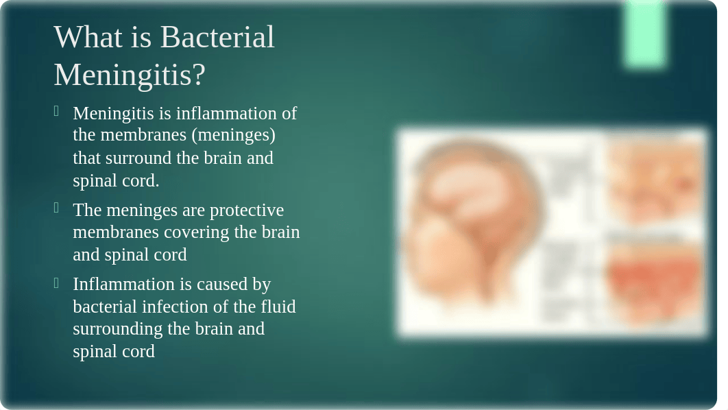 Human Disease Presentation - Bacterial Meningitis.pptx_dhpkp1iln7f_page2