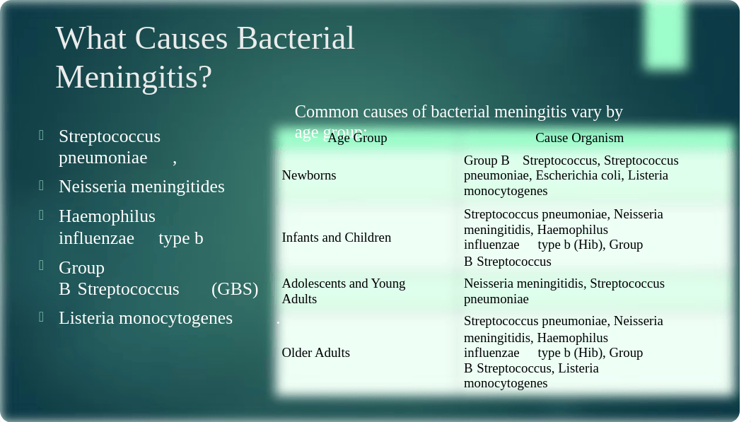 Human Disease Presentation - Bacterial Meningitis.pptx_dhpkp1iln7f_page3