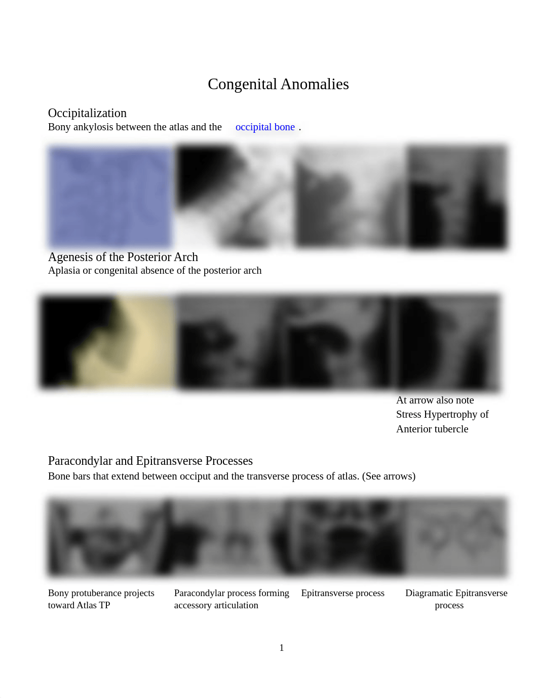 Congenital Anomaly Lecture bms.docx_dhpngxp38zo_page1