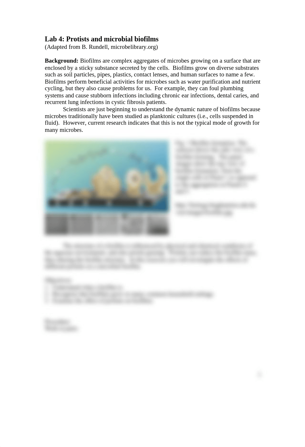 Lab 4 Protists Biofilm lab_dhppqpw4izr_page1