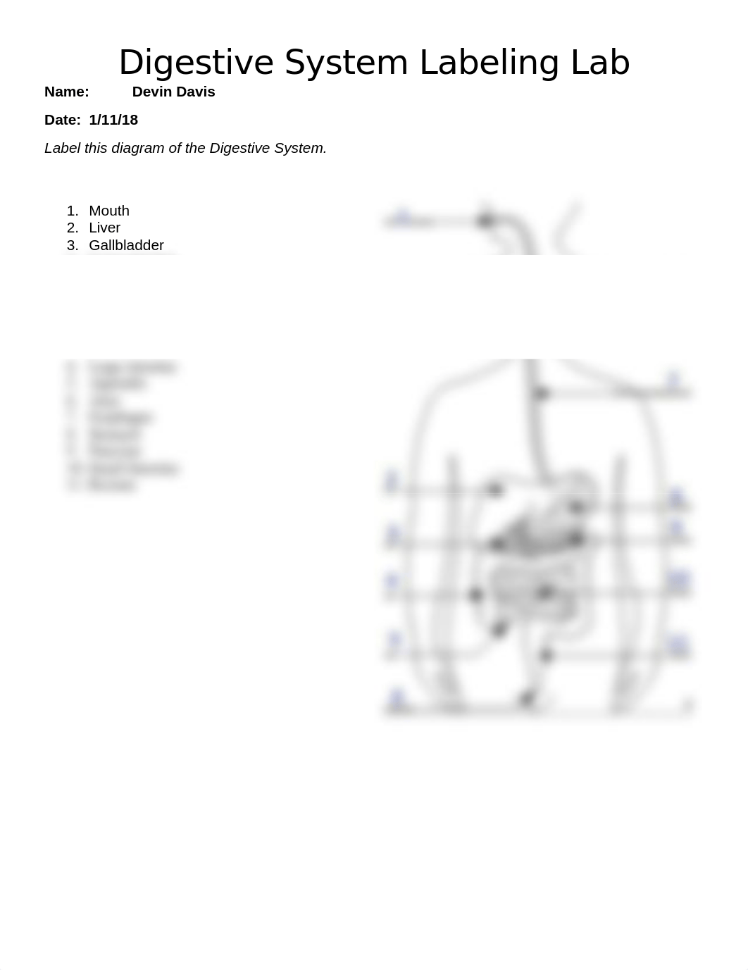 D. Davis Digestive System Labeling Lab.docx_dhps0d1bp67_page1