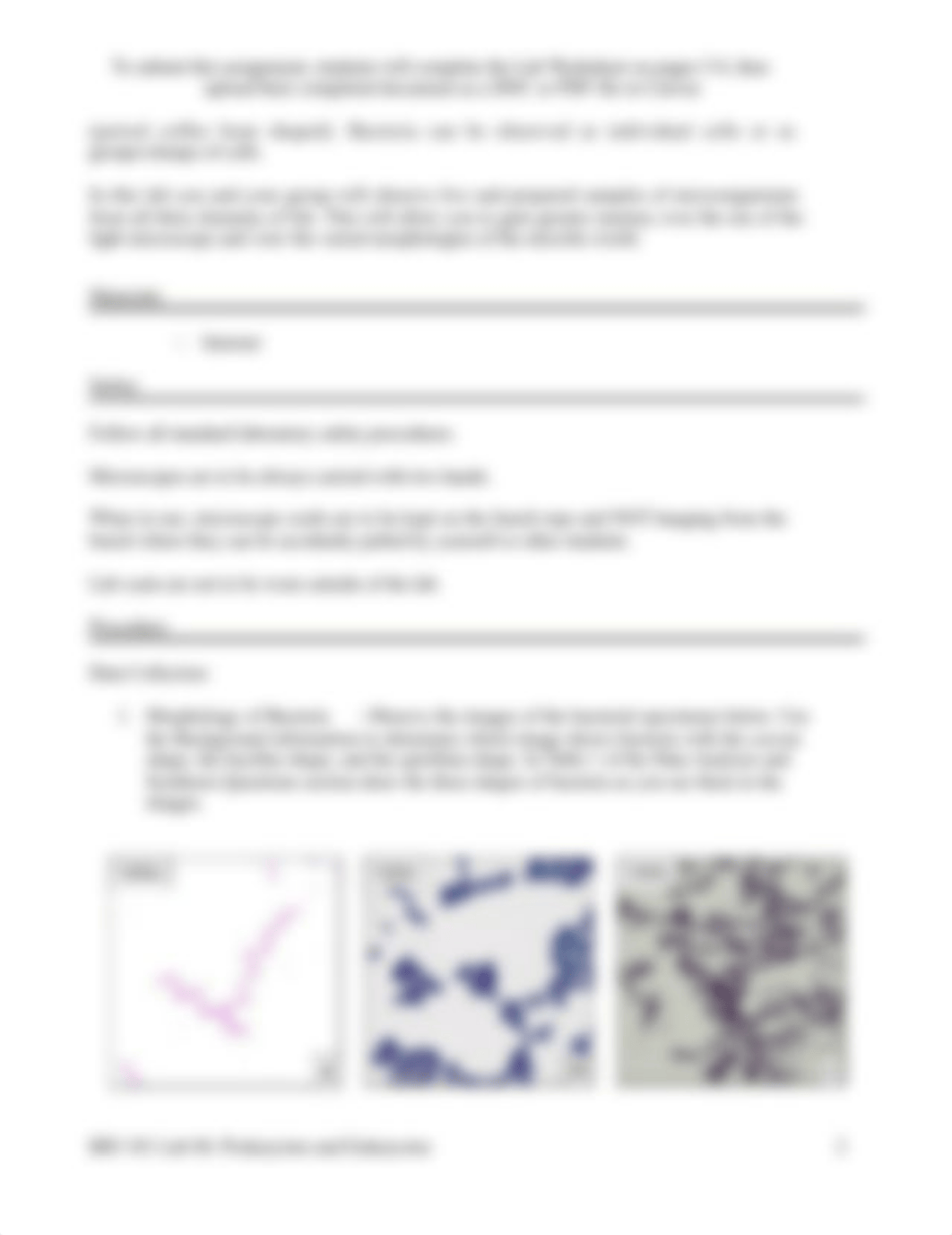 BIO 101 Lab 04, Prokaryotes and Eukaryotes.docx_dhpuflklywn_page2