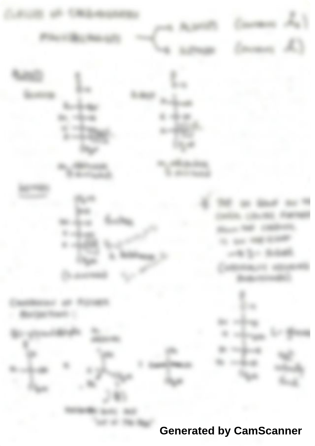 Organic Chemistry II - Classes of Carbohydrates and Mutarotation Notes_dhpyhsu93c6_page1