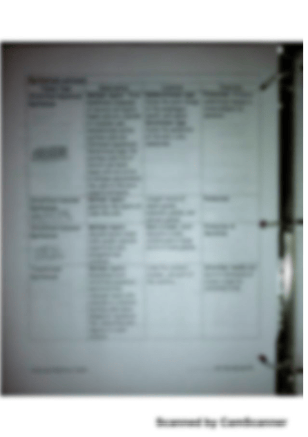 epithelium worksheet_dhqcobhx5i2_page1