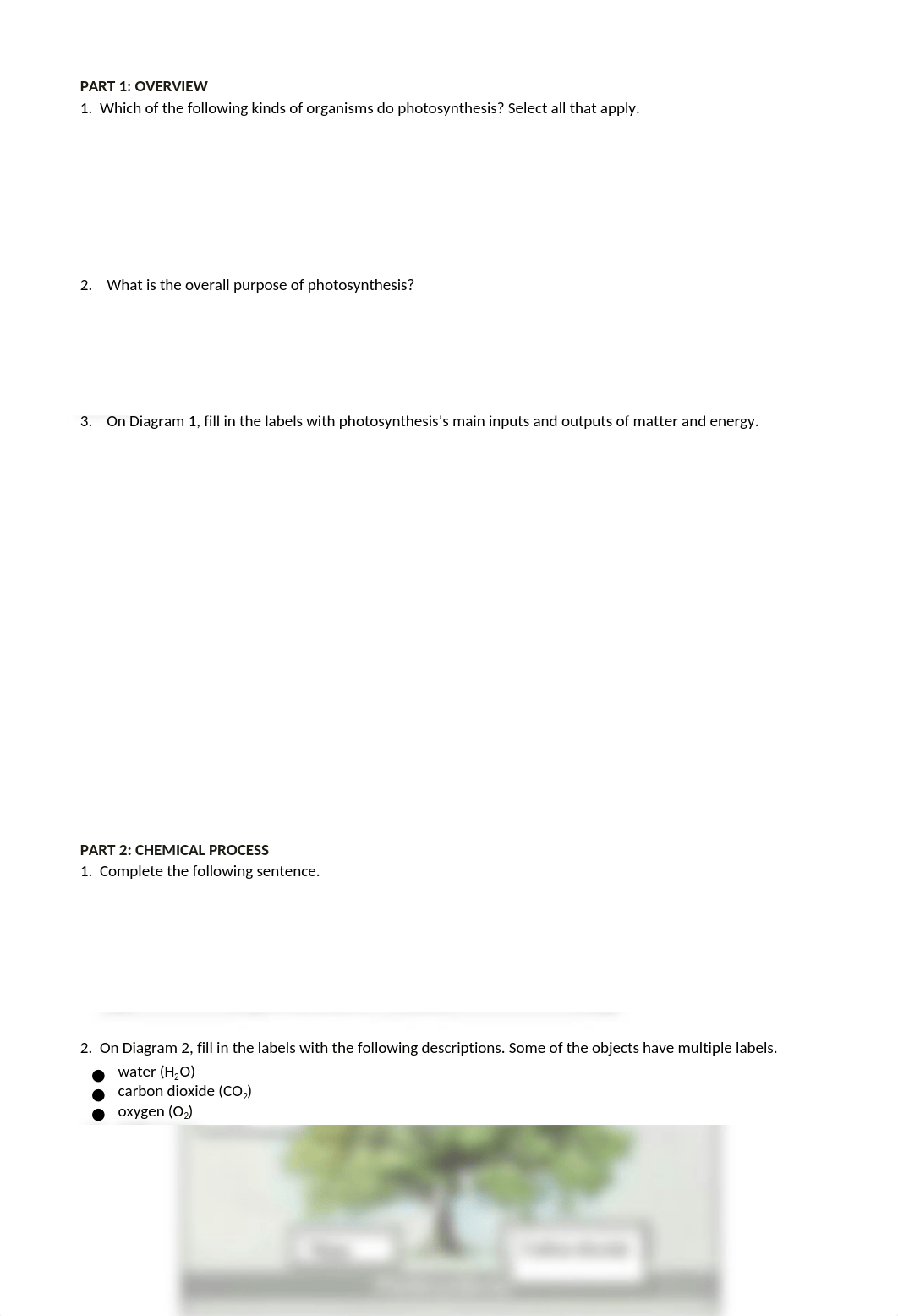 Photosynthesis.docx_dhqd7stsr0u_page1