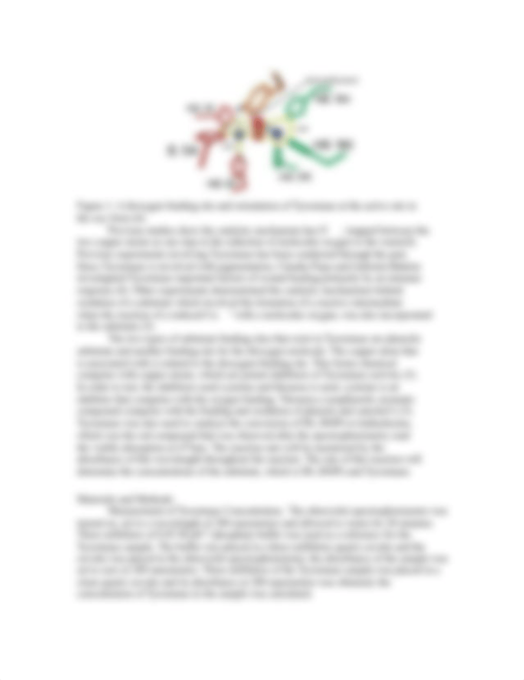 Complete New Kinetics Lab_dhqjlb488s6_page2