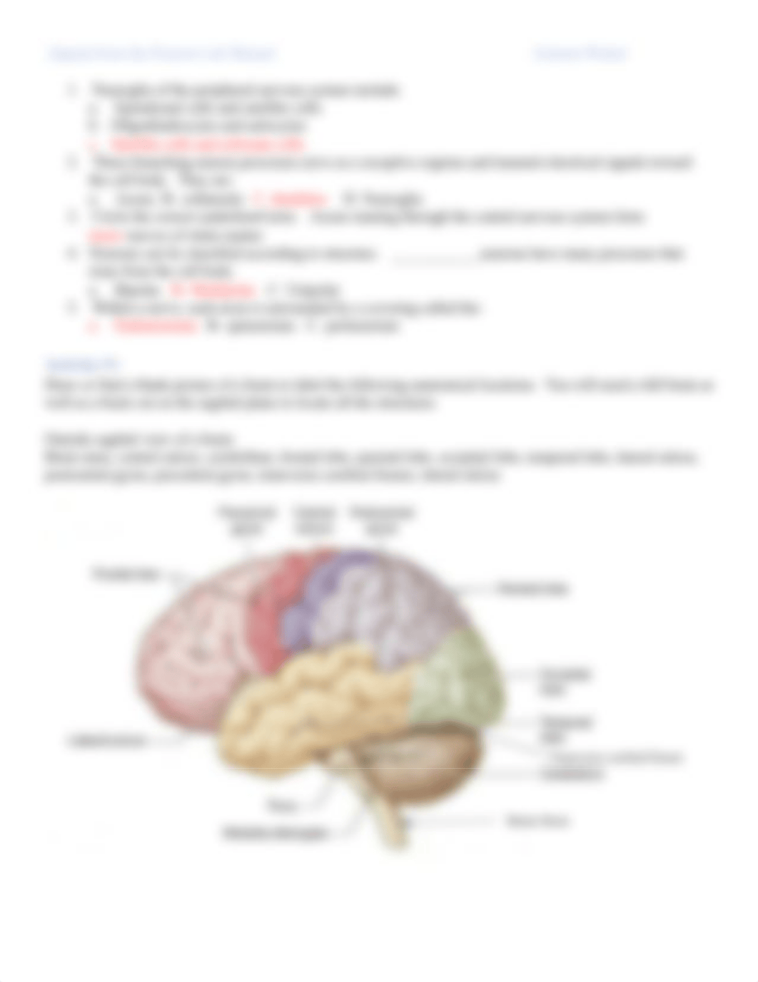 Post Lab #1.pdf_dhqnrbdmlqc_page2