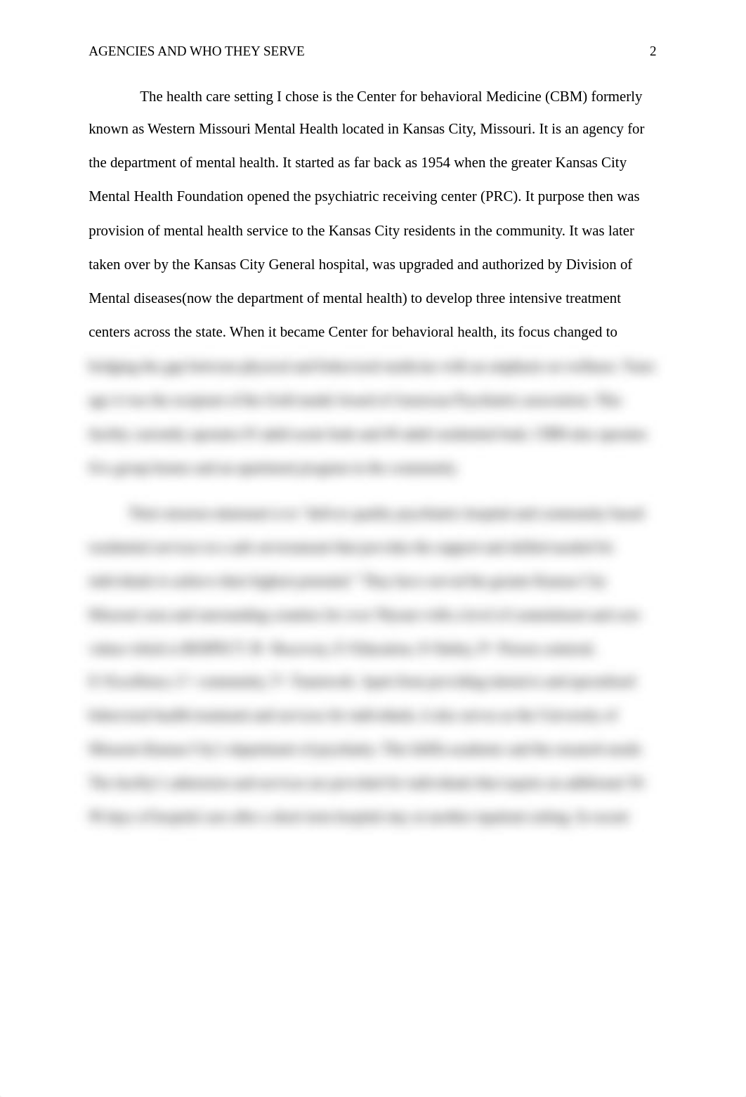 Agencies and Who They Serve.docx_dhqoi5m5lt7_page2