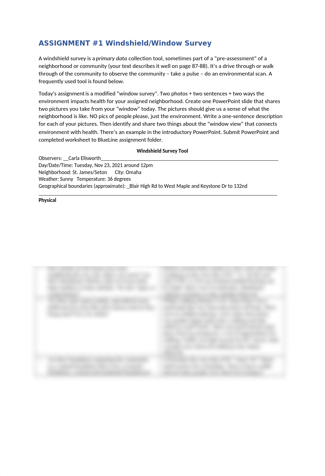 NUR244_Ellsworth_windshield survey.docx_dhqsc4vvi9m_page1