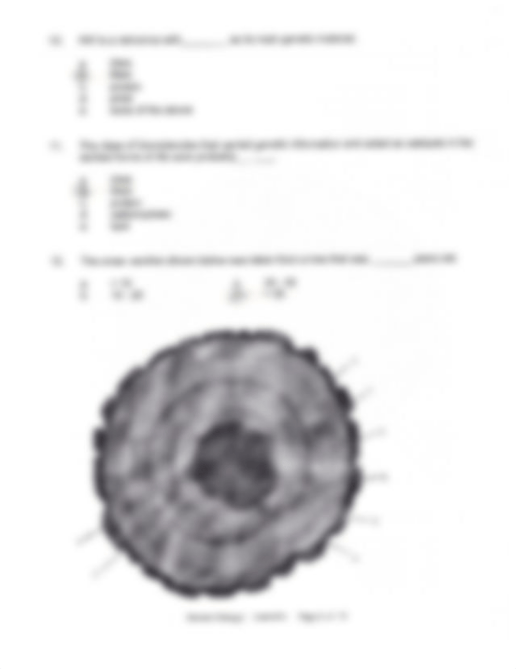 Bio Exam 4 2010_dhr0bsw1gnj_page4