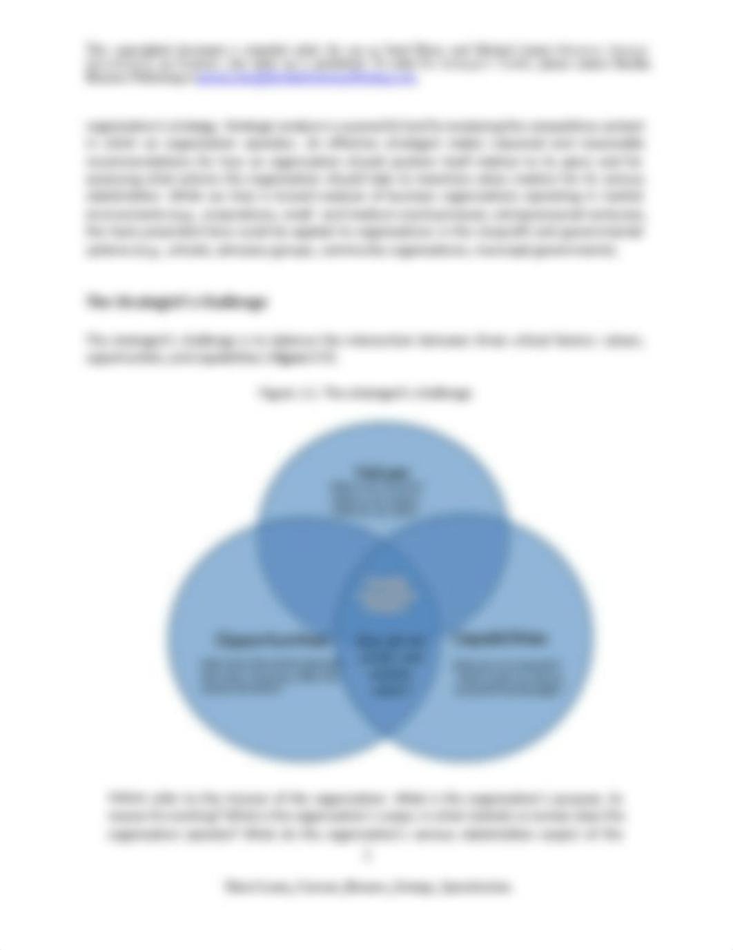 Week 1 - Intro-to-Strategic-Analysis_dhr11xdeb7d_page2