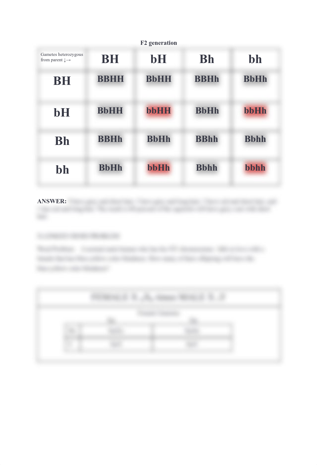 Genetics Problems.pdf_dhr2r2dkukw_page3