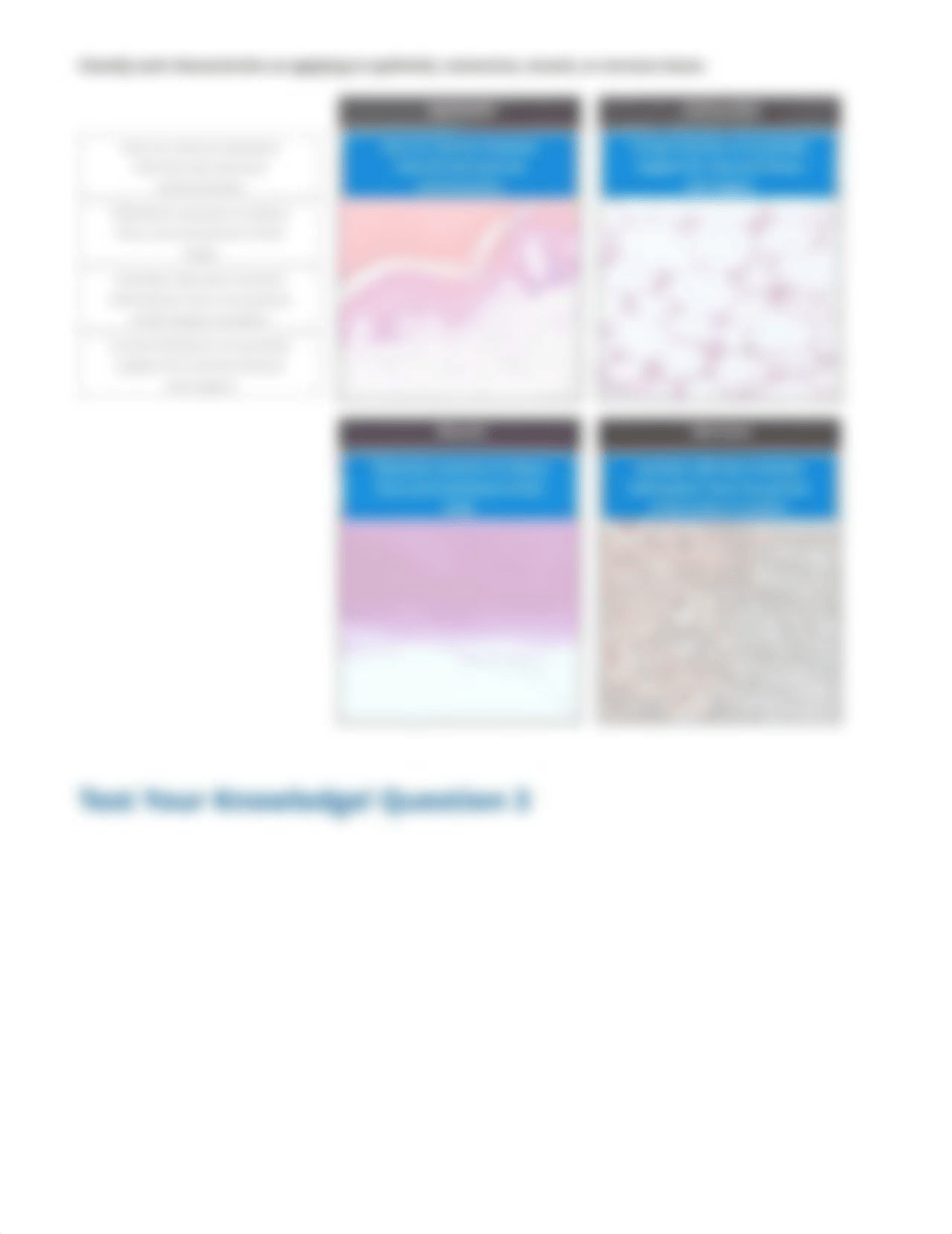 Histology - Cells and Tissues - Exploration report_dhr3uv64lqi_page2