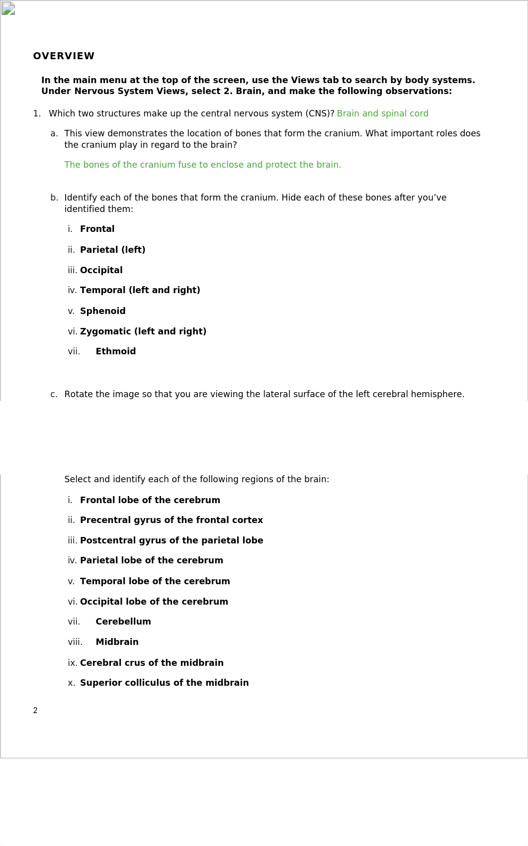 Lab_Material_-_Cranial_Nerves_-_KEY.docx_dhrdmn8rci6_page2